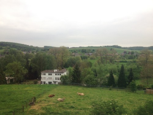 Dag heuvels, dag koeien. Tot morgen.