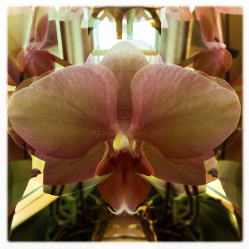 Soms speel ik ook op kantoor met filters.