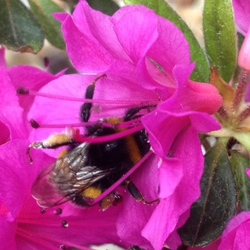 Wel foto's gemaakt maar niet veel bijzonders. Behalve deze dan