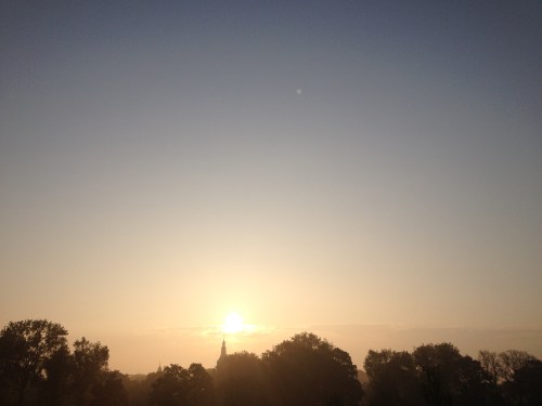 Hallo zon, je straalt.