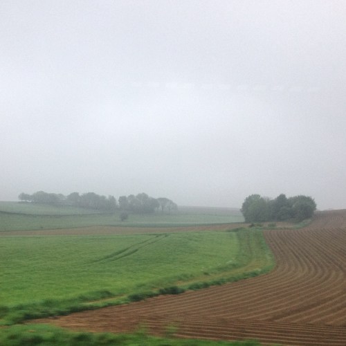 Goedemorgen Limburg.