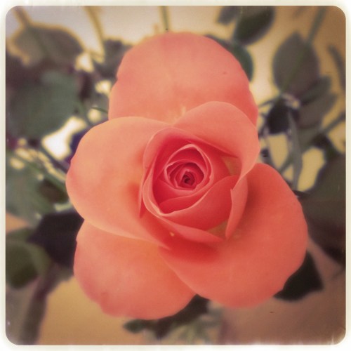 Zo verknocht aan mijn nieuwe hipstapack..