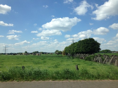 We rijden een klein stukje verder.