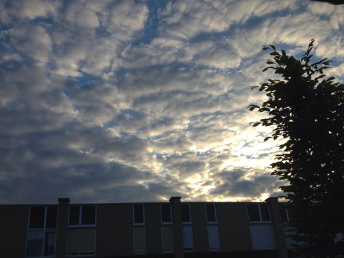 De zon zien zakken aan de voorkant.