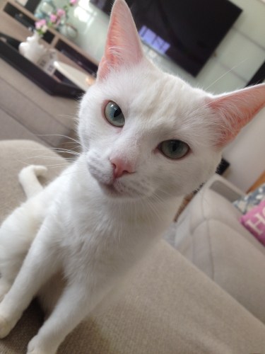 he jij daar, wat kom jij hier doen? huh..zeg op!