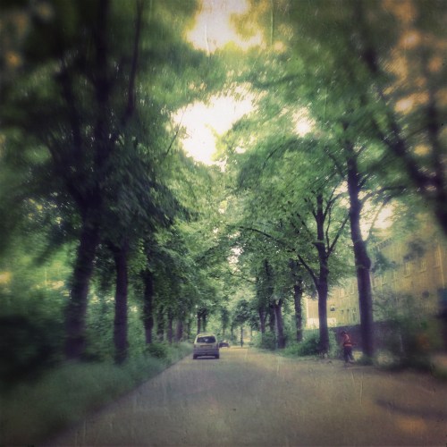 Foto's maken onderweg levert toch bijzondere plaatjes op.