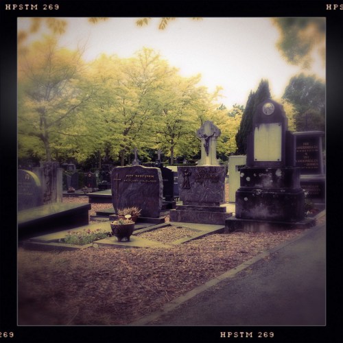 Vaste prik op zaterdag een bezoek aan het graf van mijn ouders.