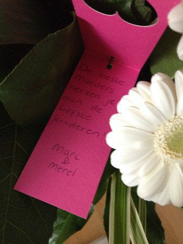 Hoe lief is dit nou?..