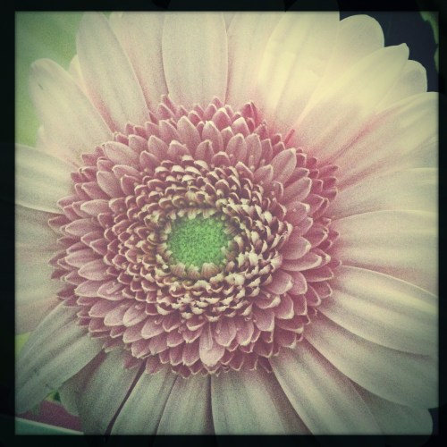 met wisselend succes