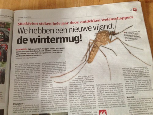 Tsjakkaaaa...je het hele jaar een bult krabben.