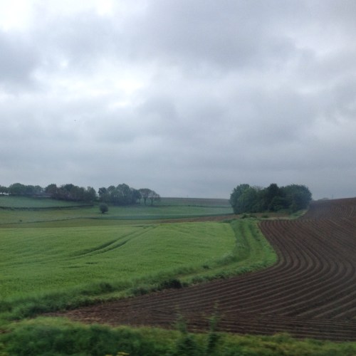 Goedemorgen Limburg!