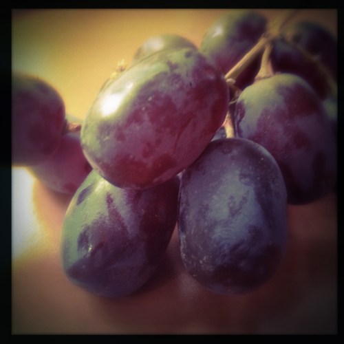 Energie bijtanken. Tijd voor fruit.