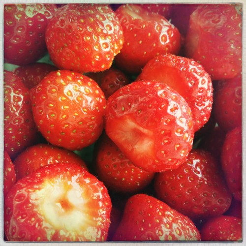 Aardbeien vers van de boer...zo zoet dat je geen suiker nodig hebt. 