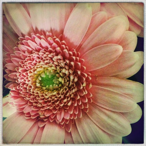 Bijna geen foto's gemaakt vandaag. Bijzonder saai.