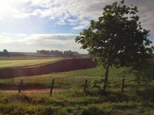 Goedemorgen Limburg!