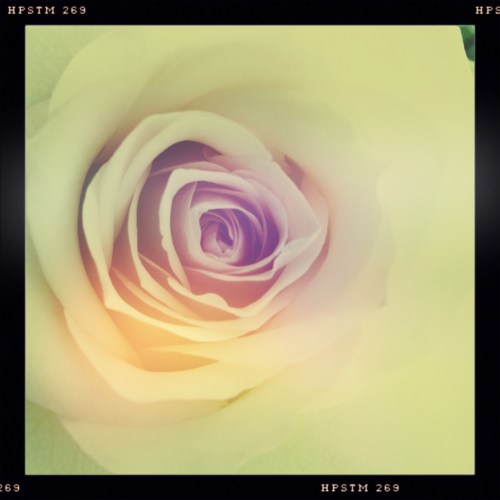 La vie enrose...ook vandaag speel ik met Hipstamatic