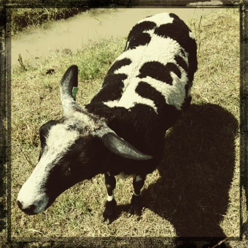 Op pad met een opdracht. Met de 'u bevindt zich hier' sticker in de tas naar Rolduc om het ultieme plekje te vinden, Ik zal jullie een kleine selectie laten zien. Ik kan zelf al niet meer kiezen 