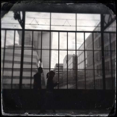 Follow me, follow you