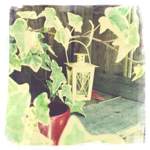 ´t is zondag, spelen met hipstamatic dus..