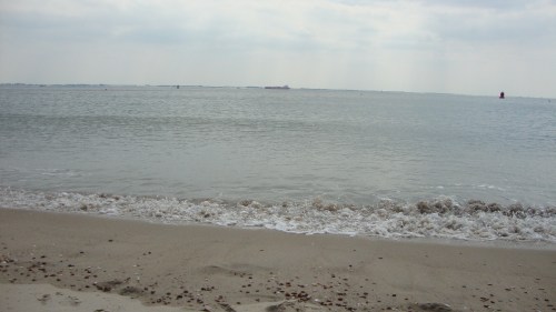 Dag zee. het was kort maar wel heel leuk!