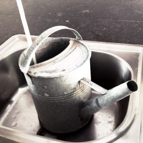 We beginnen de dag met gieten