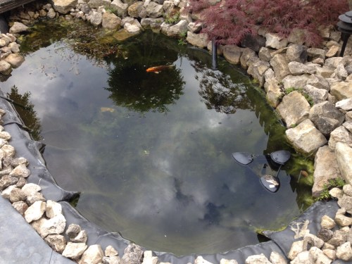 Nee, ik ga niet vissen.