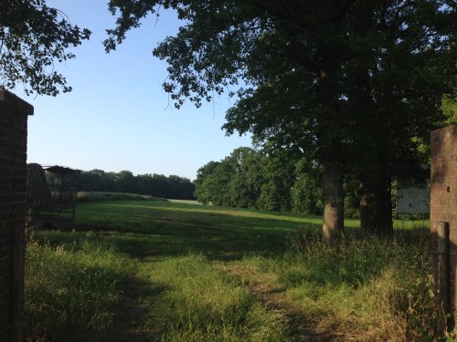 Om nog iets te kunnen ploggen maak ik een ommetje.