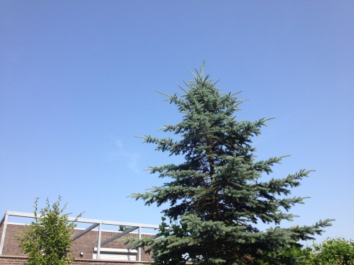 Terwijl de rest van Nederland nat wordt is het hier weer blauwer dan blauw.