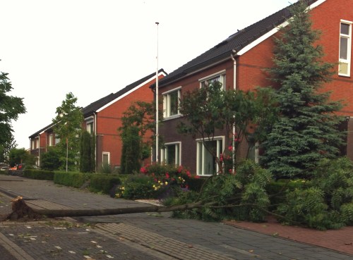 Een slachtoffer van het noodweer ligt om de hoek. De enig die wij onderweg tegenkomen.