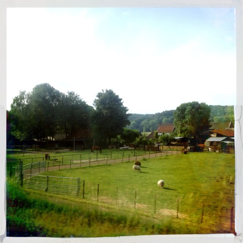 Schaapjes tellen ...