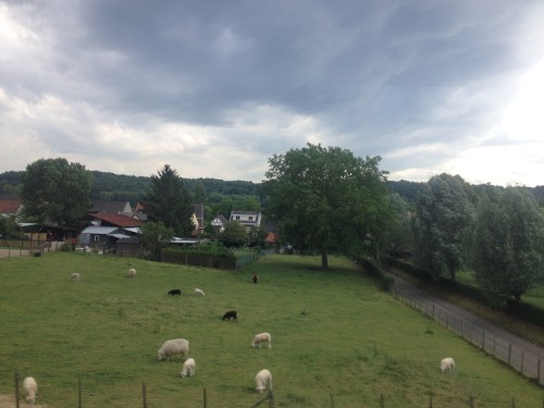 Nog meer schaapjes tellen.