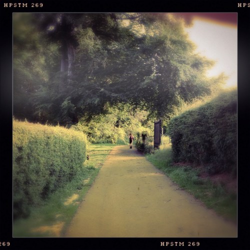 Een eenzame hardloper...ik volg in een slakkengang.