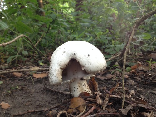 euh...het is zomer hoor!