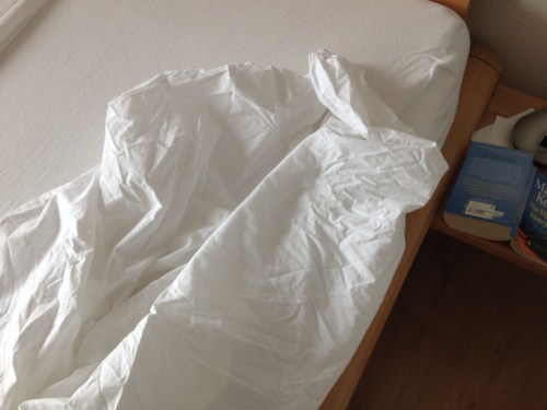 Toch maar gewoon bedden verschonen. 't Is duidelijk dat ik geen onderlakens strijk denk ik? Hoeven we daar ook geen discussies over te voeren