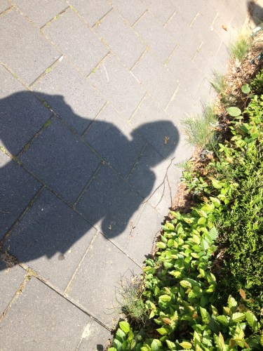 Kijk, daar loop ik weer.