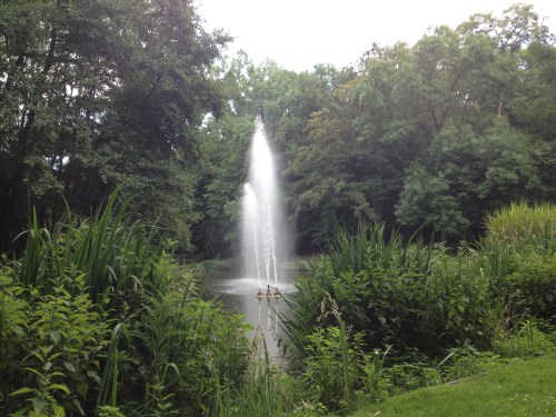 Het hertenpark ligt om de hoek.