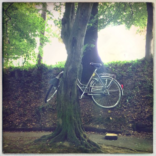 Jaja zo kun je ook de boom in.