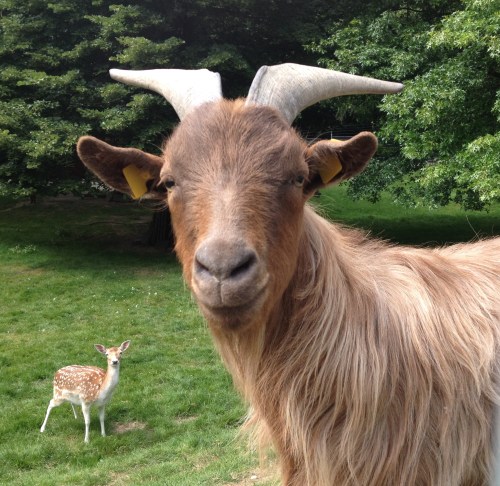 Jahaaa daar kijken jullie van op hè?