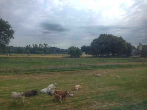 Het leven is goed in ons Limburgse land.