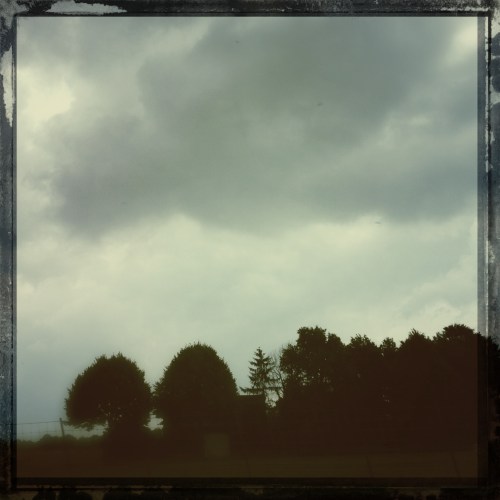 Als je een beetje met je ogen knijpt lijkt het herfst.