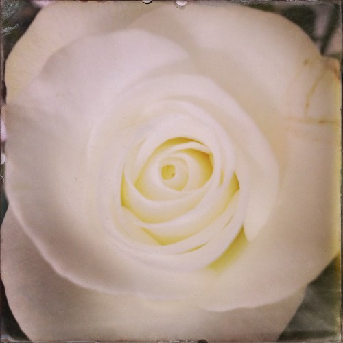 Ik vind een bloemetje wel op zijn plaats. Goed gedaan jongens!