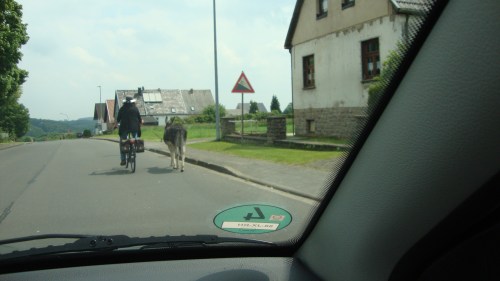 Een ezel uitlaten doe je zo.