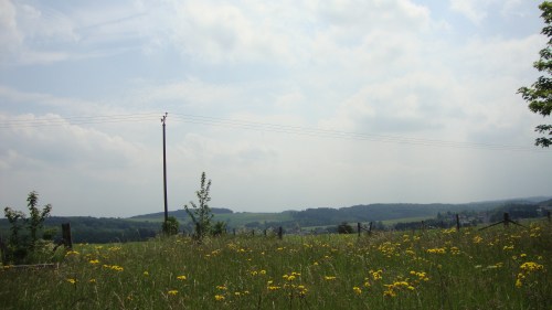 Weidse vergezichten...