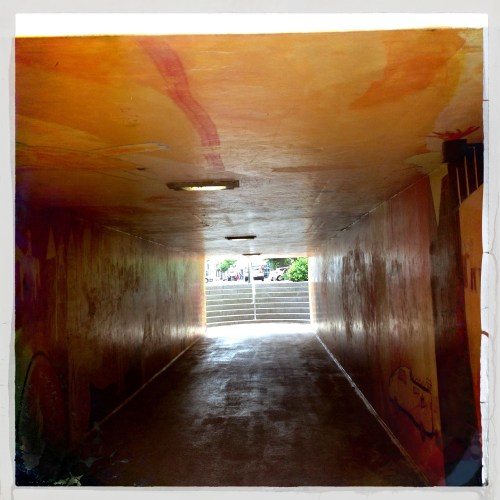 Kijk...een oranje gangetje