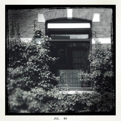 Stilstaan betekent ook om je heen kijken en mooie dingen zien. Dit raam omgeven door groen bijvoorbeeld.