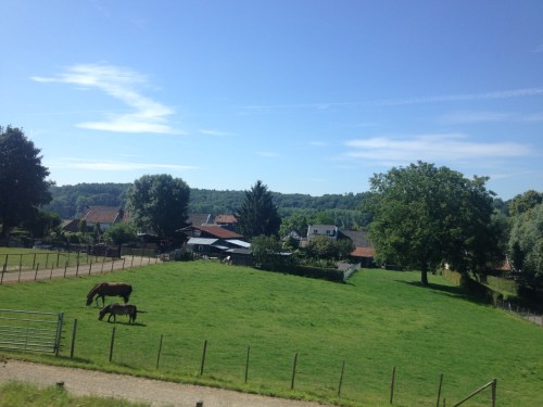 Goedemorgen Limburg.