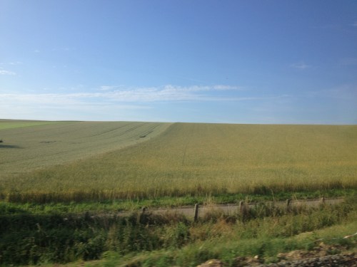 Goudgeel en hemelsblauw, een perfecte combinatie
