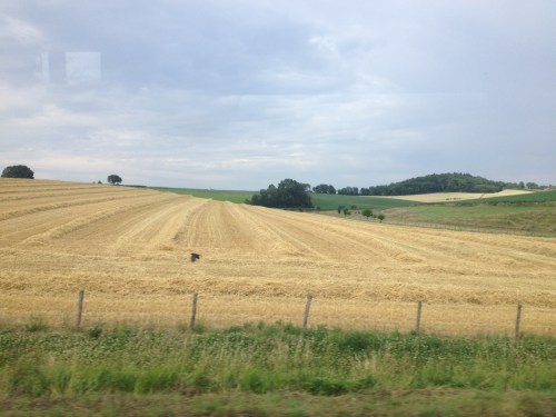 Wie heeft de zon gestolen?