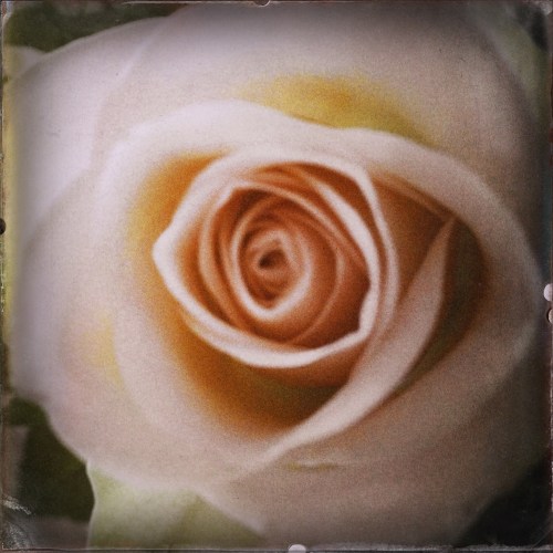 Om de boel nog een beetje op te vrolijken sluit ik vandaag af kleur. Dag dag, tot morgen