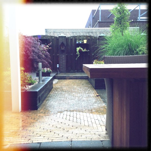 Doorweekte mussen komen regelmatig schuilen onder het afdak. Ze zijn me steeds te vlug af.